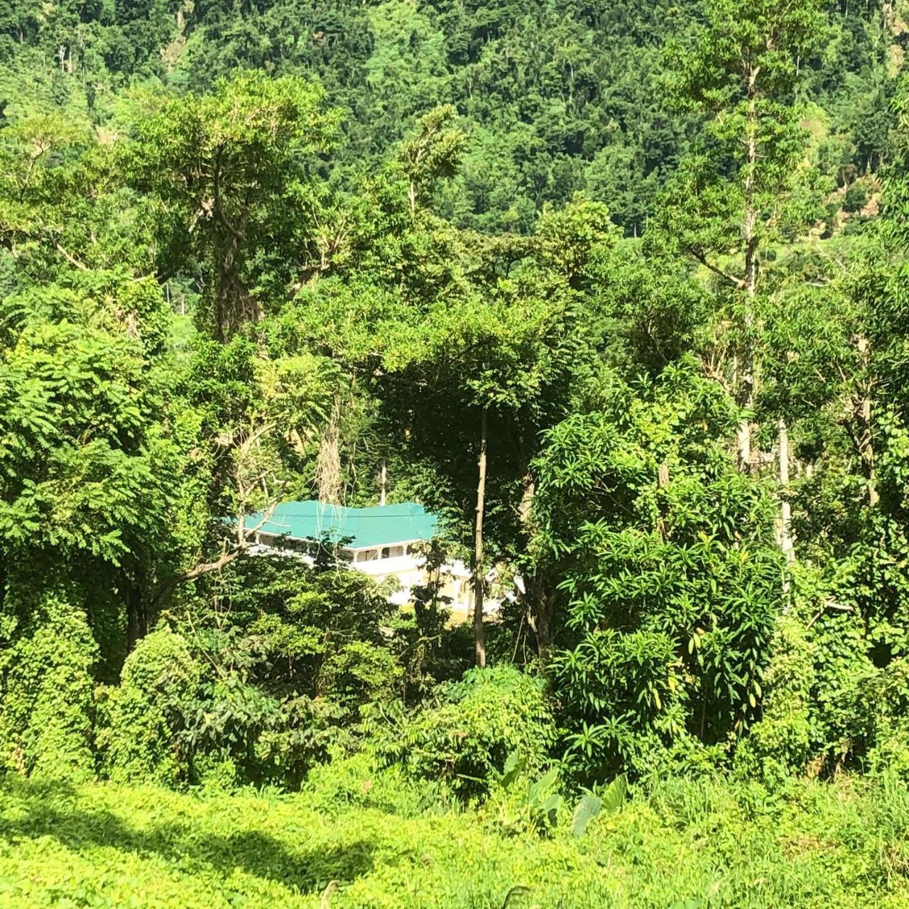 Soufriere Guesthouse Zewnętrze zdjęcie